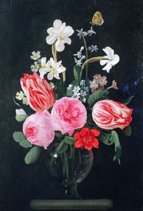 Roses, narcisses, tulipes et autres fleurs